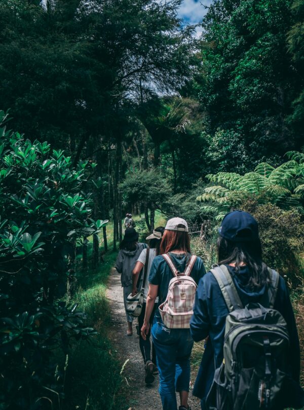 Hiking tours with Gorilla Nest Expeditions in Rwanda