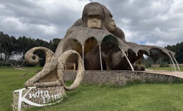 Musanze town tour with Gorilla Nest Expeditions