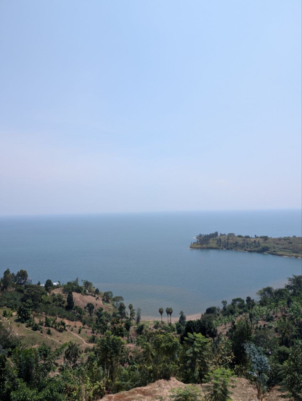 Hilltop view over a wide hazy lake with cultivated slopes and a wooded headland