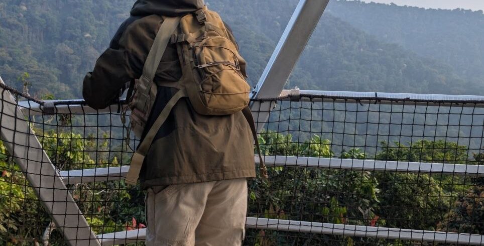 Visitor on the Nyungwe Forest canopy walkway