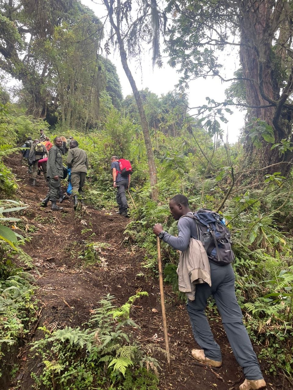 Hikers walking up a forest trail through dense green vegetation on a Rwanda hike